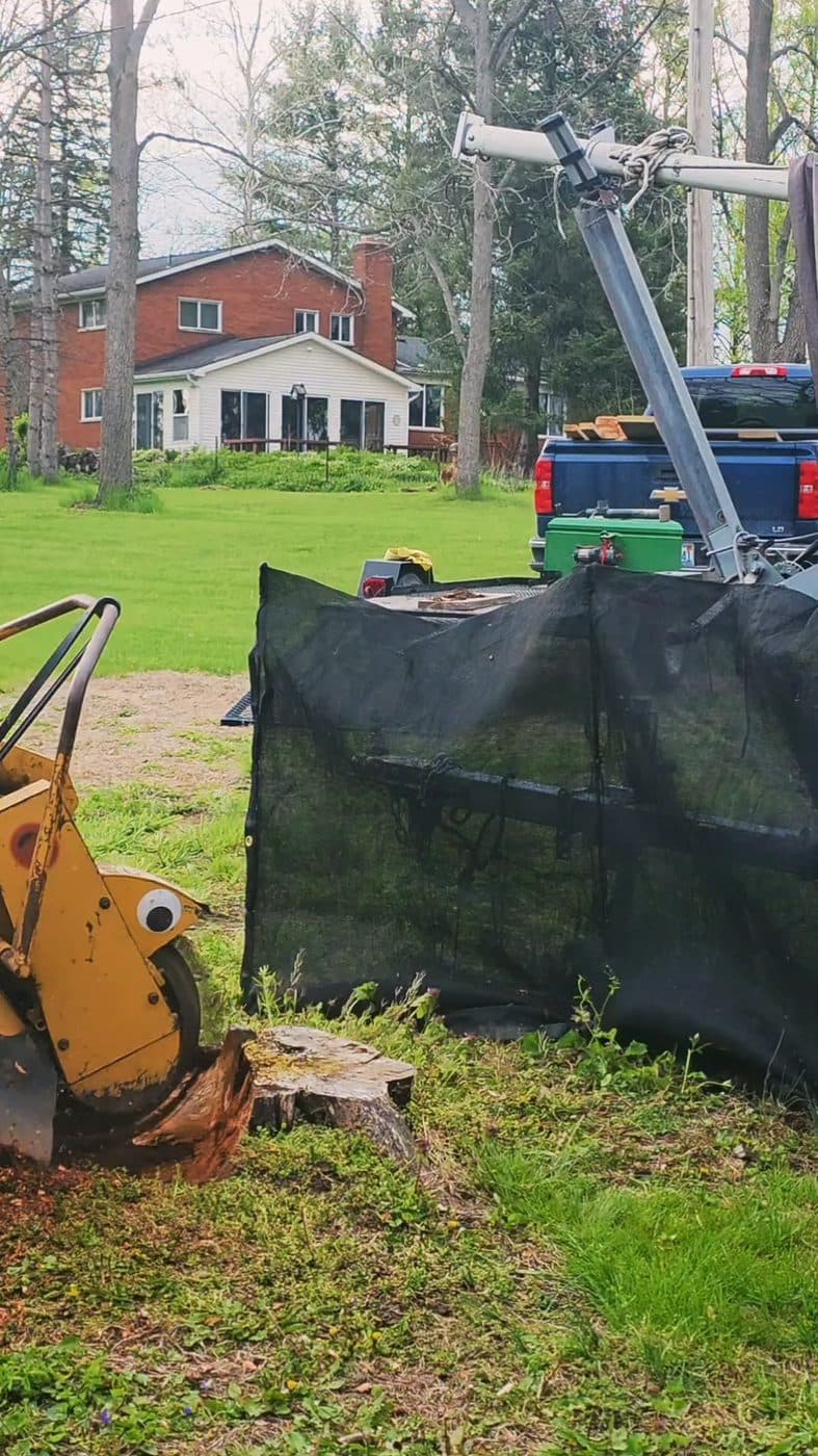 A stump grinder removing a tree stump beside the Jaws work truck