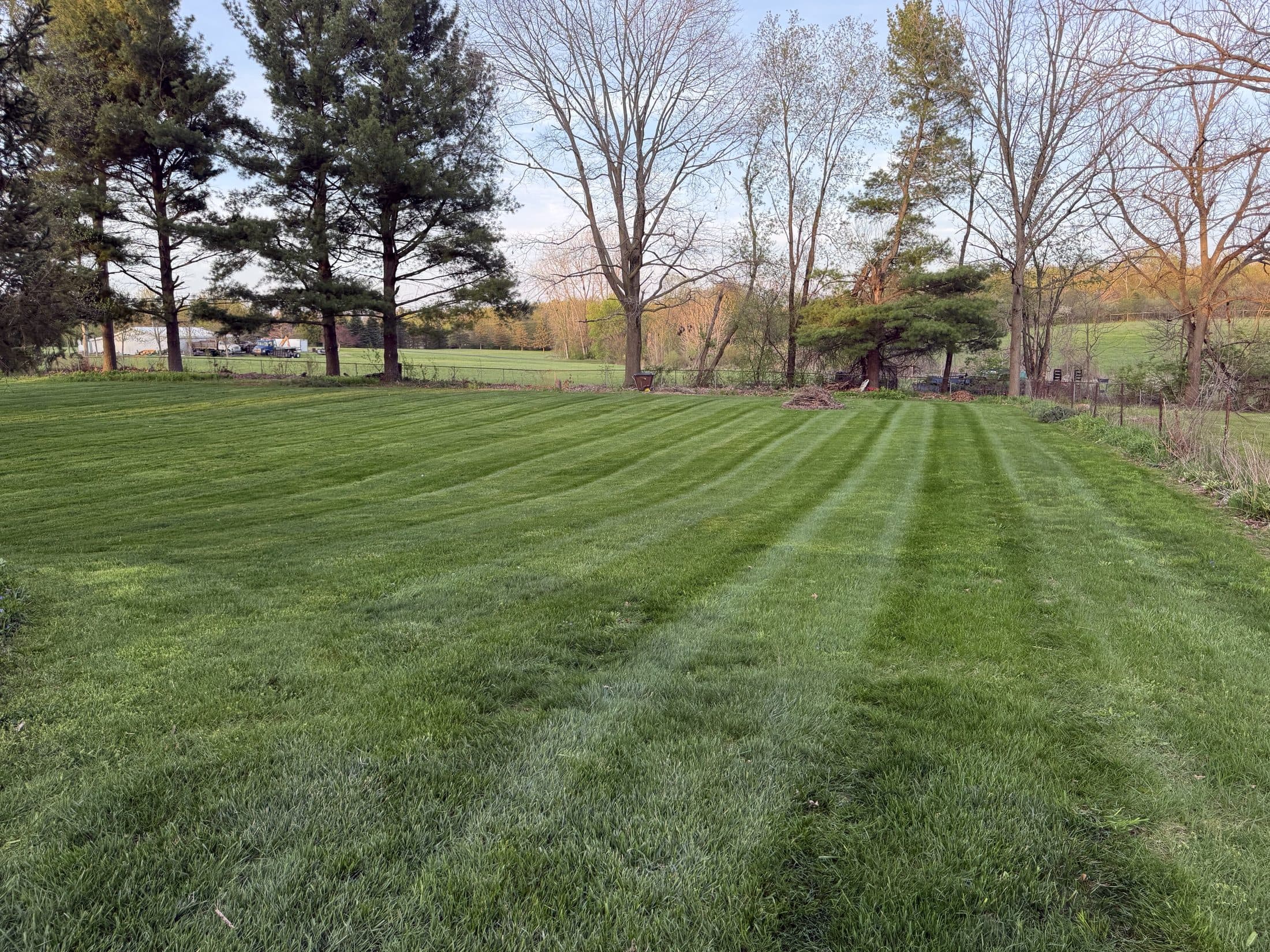 A large backyard lawn mowed in clean stripes, bordered by tall trees